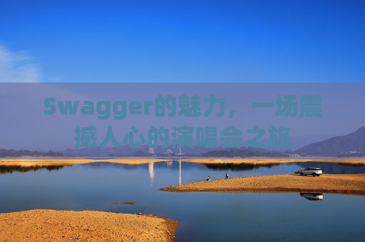Swagger的魅力，一场震撼人心的演唱会之旅